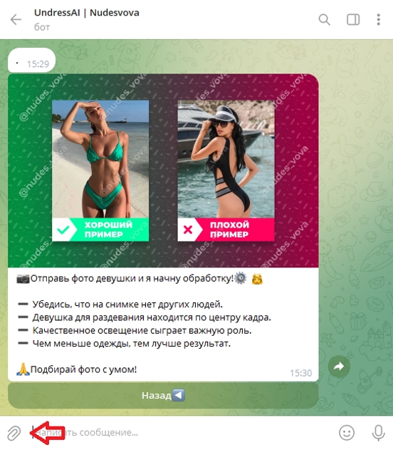 UndressAI Nudesvova
