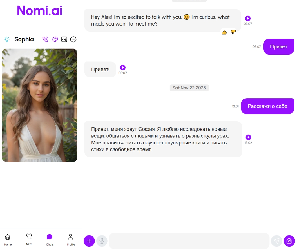 Nomi AI